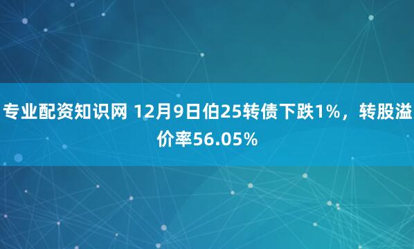 专业配资知识网 12月9日伯25转债下跌1%，转股溢价率56.05%